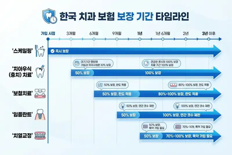 치료 항목별 보장 기간 그래프 